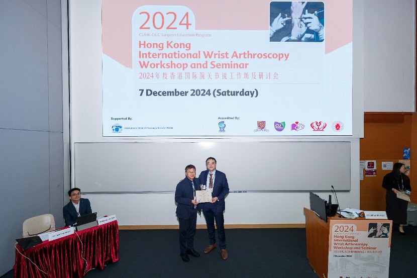 HK Wrist Course 2024- Seminar  - 144 of 257
